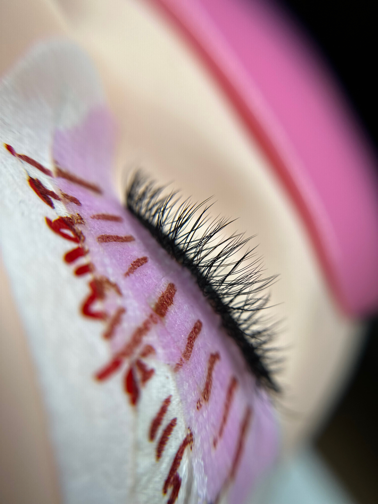 Eyelash Consultation