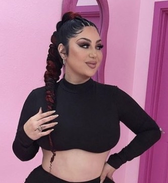 Slicked Ponytail W/2 Stitch Braids