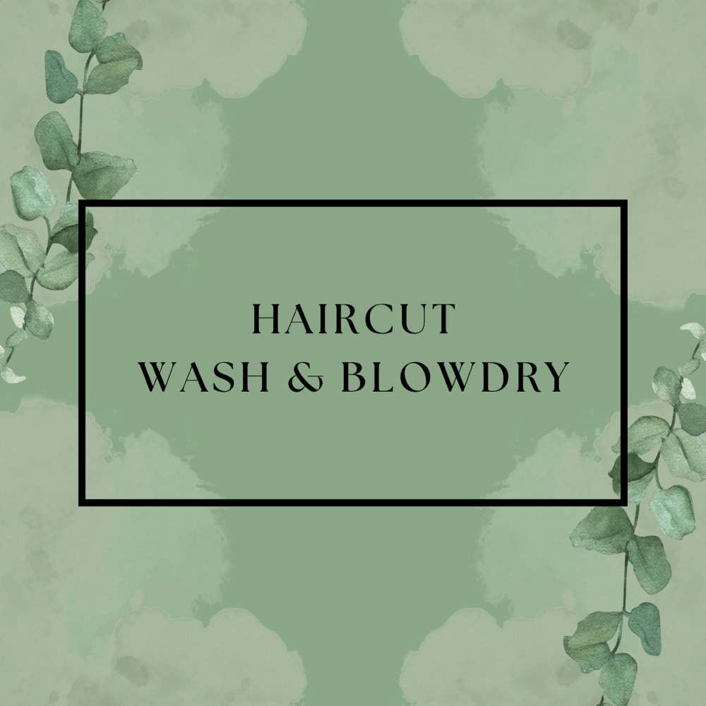 Haircut, Wash & Blowdry