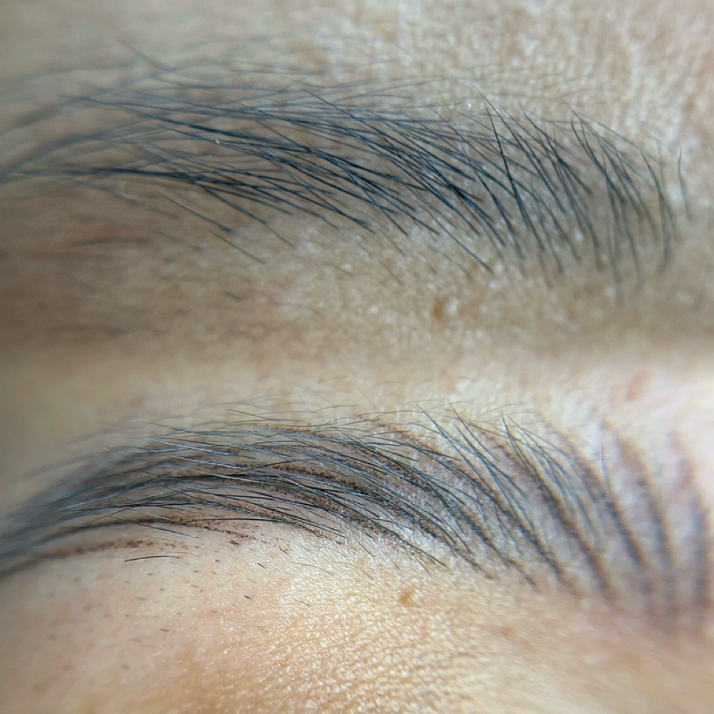 Nano Brows at LEIDYXBROWS in Freeport, NY