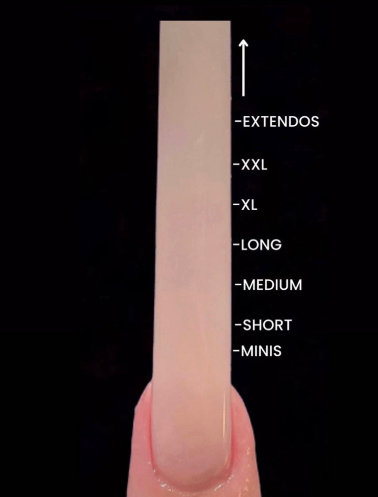 XL French / V-tip at MiyahTheTech in Schererville, IN