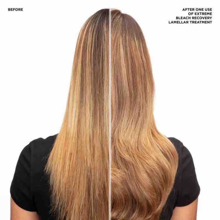 Redken Blonde Recovery+Blowout