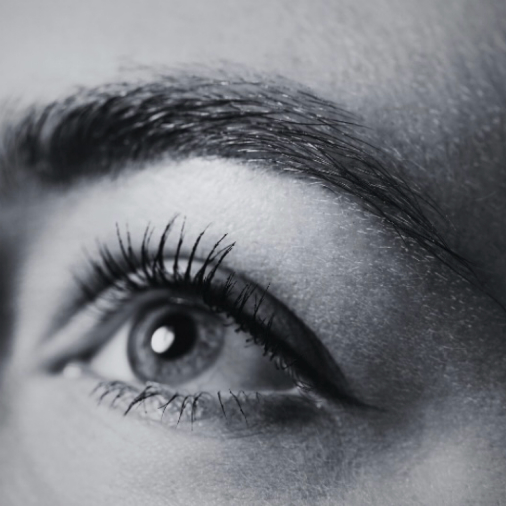 Brow & Lash Lift + Tint at Dark Venom Beauty in St Augustine, FL