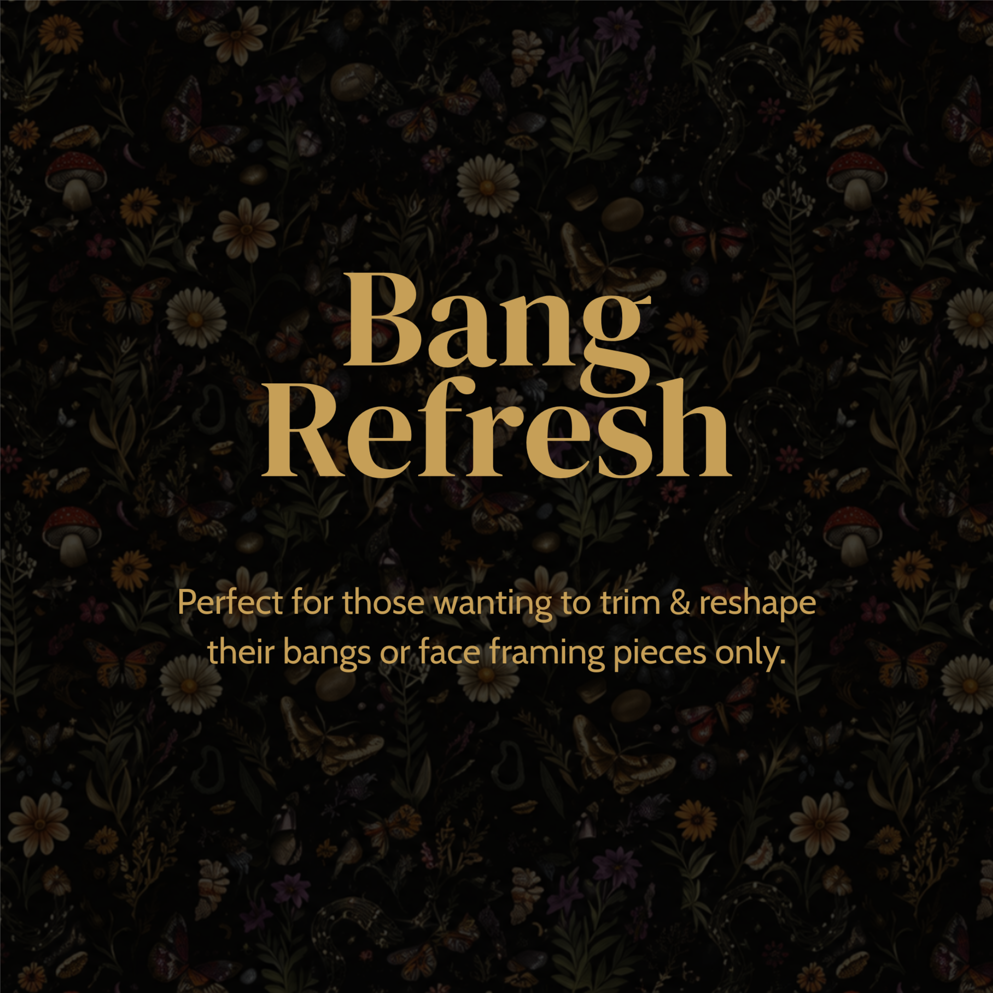 Bang Refresh at Meraki Beauty & Barbering in Egg Harbor City, NJ
