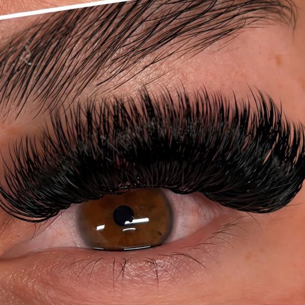Mega Volume at Luxury Lash Studio By Alex in Fort Worth, TX