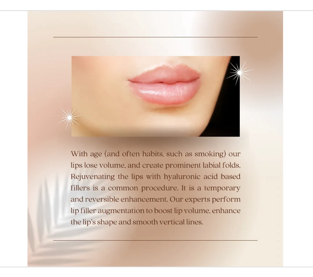 Facial Fillers (Hyaluronic Acid)