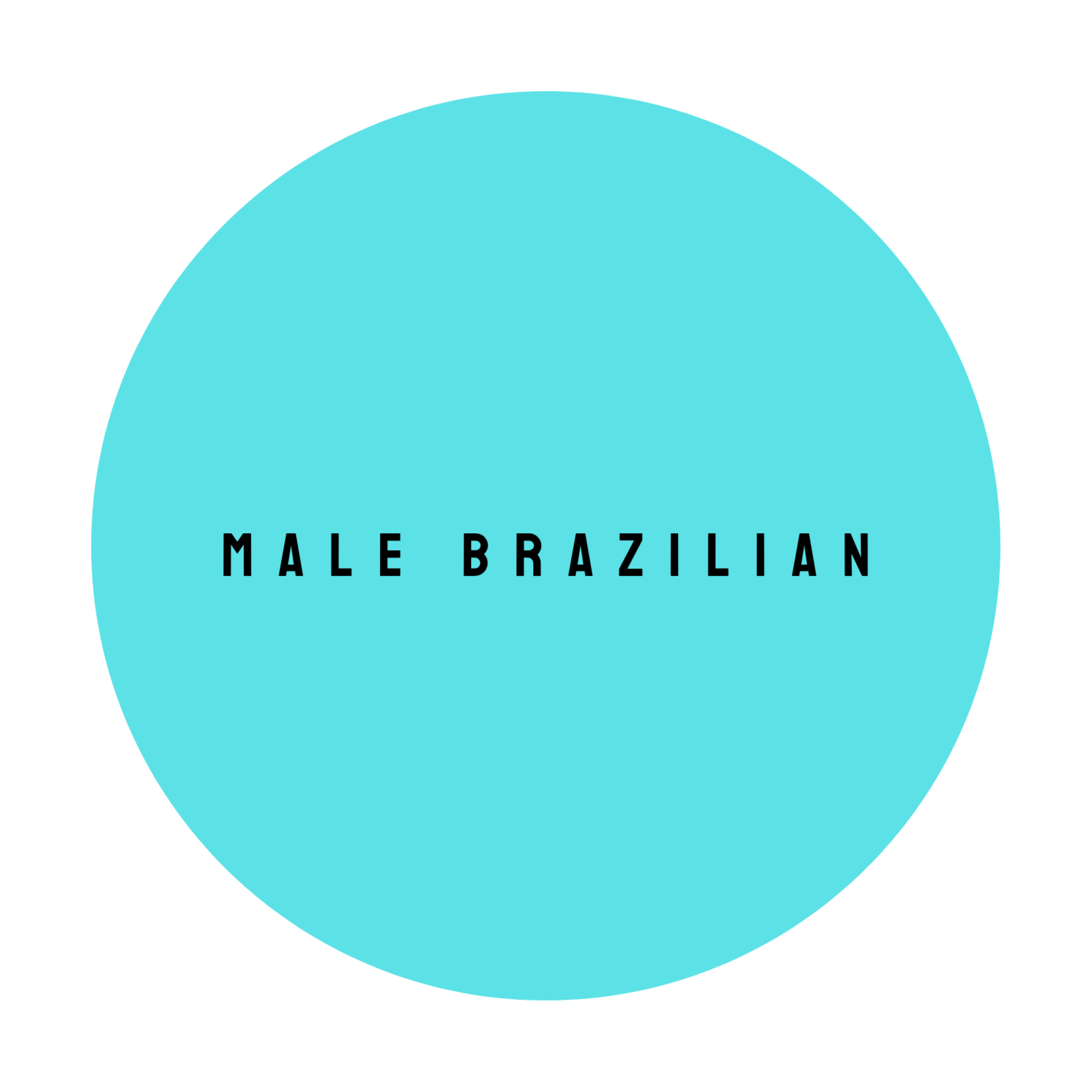 MALE BRAZILIAN at The Dollhouse Wax Studio in Smyrna, TN