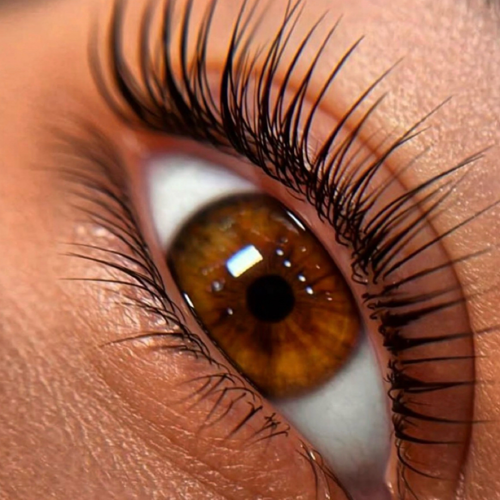 Lash Tint at THE SET in Scottsdale, AZ