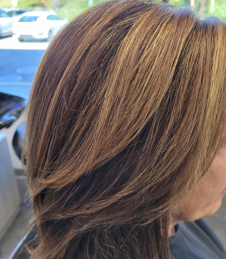 Partial  Highlights Includes Toner