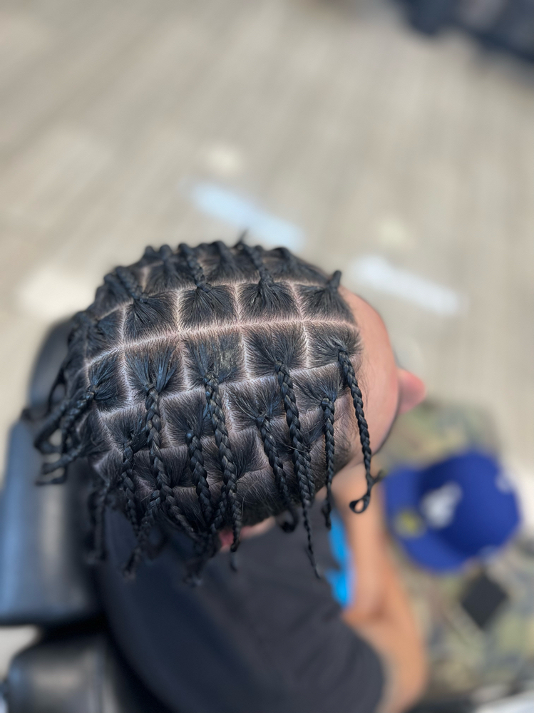 Box Braids (natural Hair)
