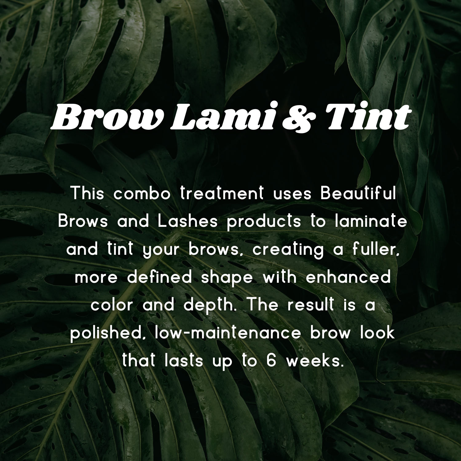 Brow Lamination + Tint