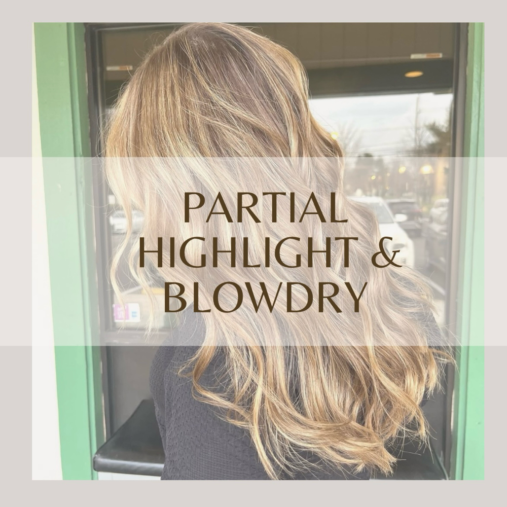 Partial & Blow Dry (Level 2)