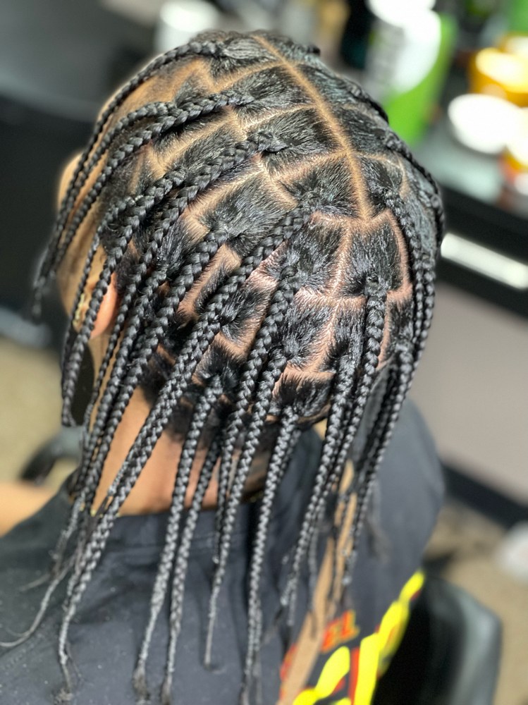 Medium individual Braids-Full Head