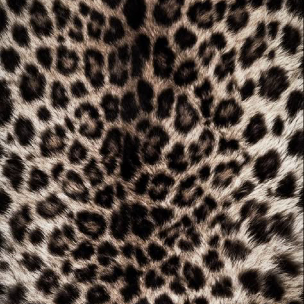 Root / Shadow Melt at The Twisted Angel Salon & Spa in Bloomington, IN