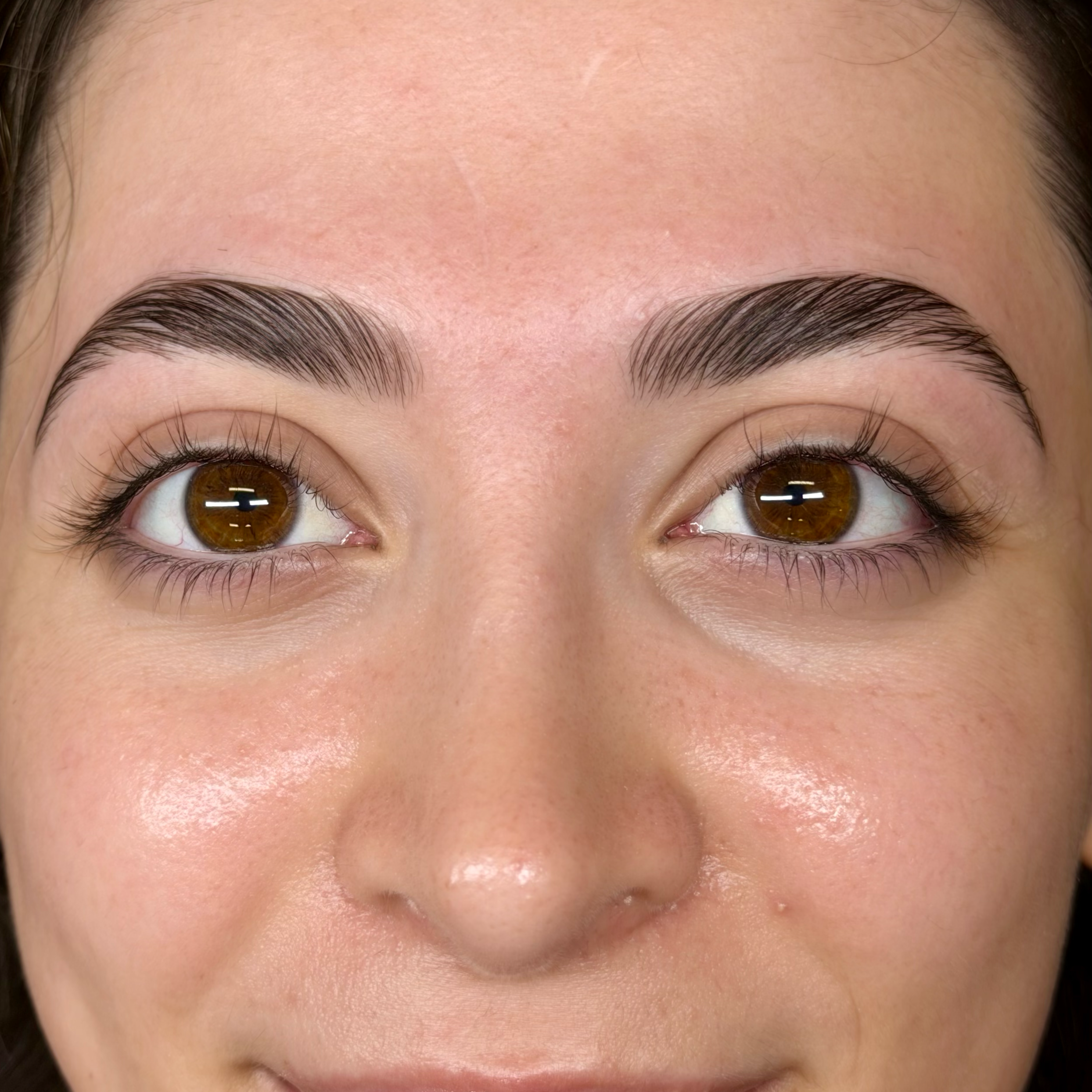 Brow Lamination + Wax at Aesthetics By Celine in Northridge, CA
