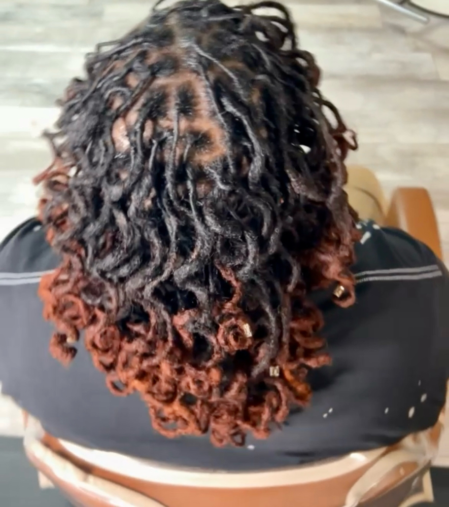 Loc Color (Tips Only) Full Head