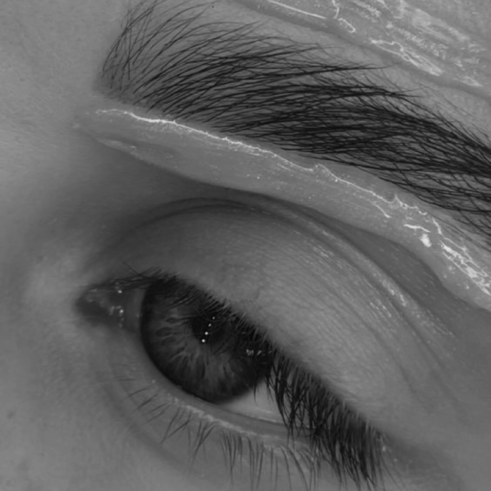 Brow Sculpt at Jacqueline at Salon Society in Summerville, SC