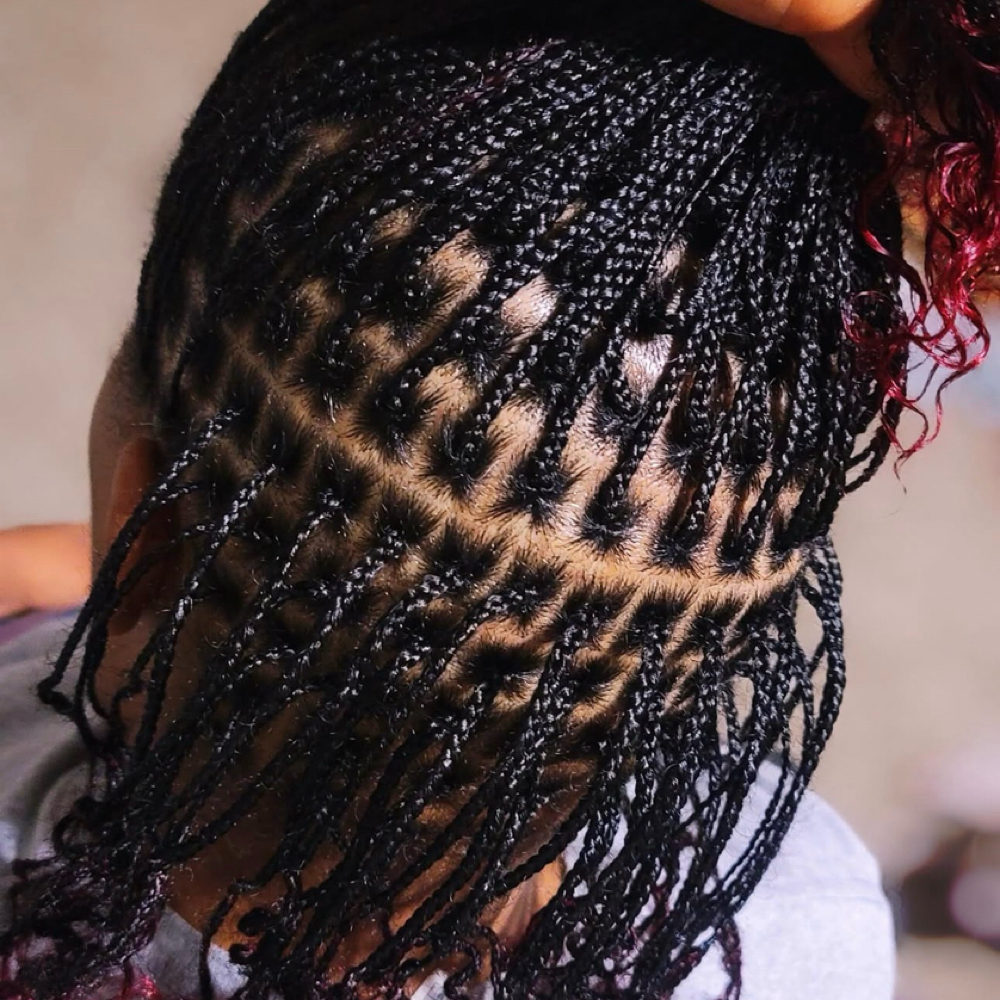 Mini Natural Hair Twist/plaits at Braids By Tica   Morrow,GA in Morrow, GA