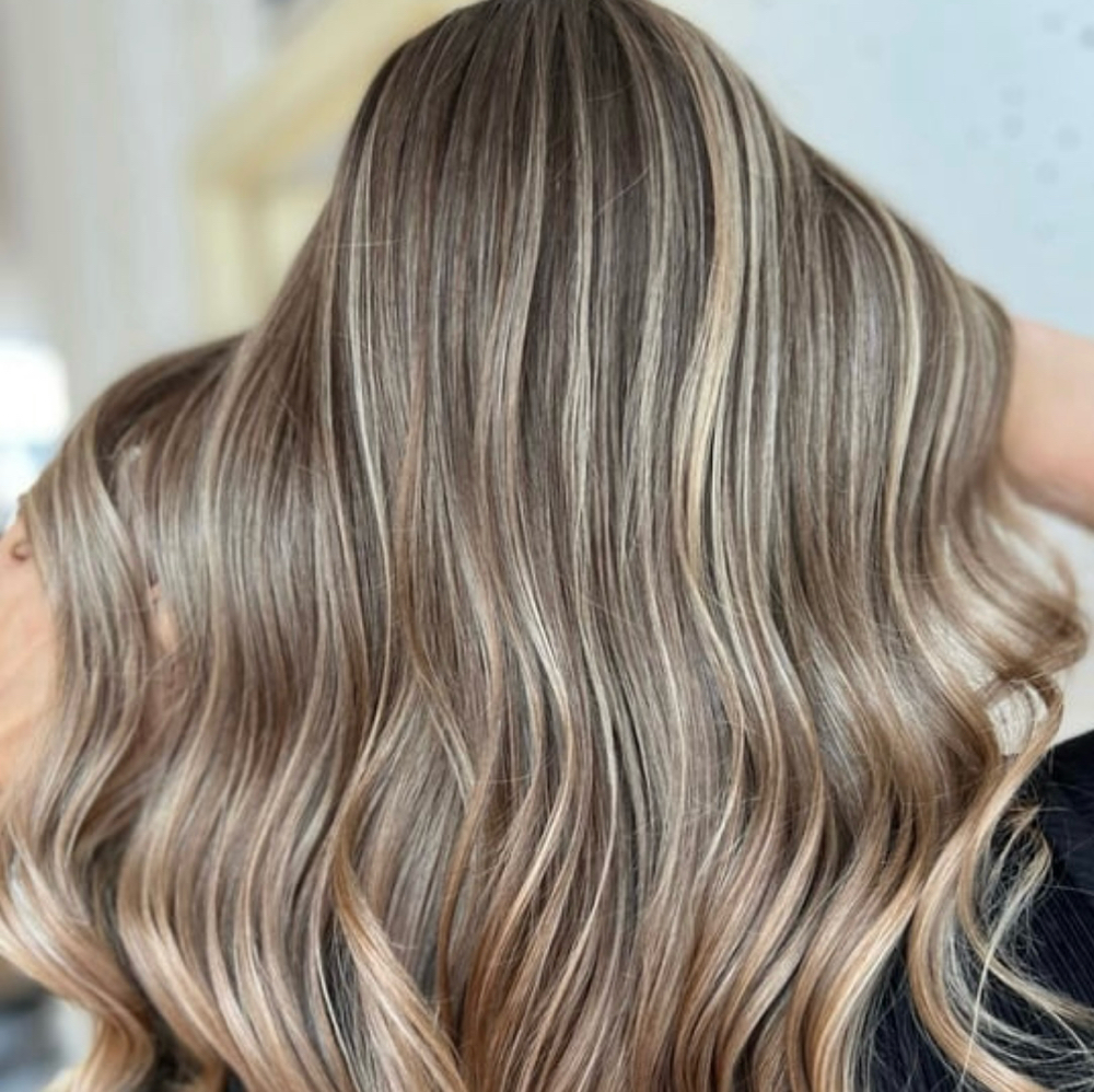 Highlights