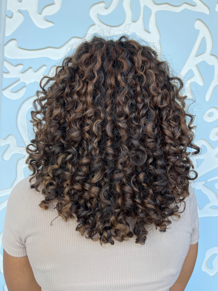 Highlights