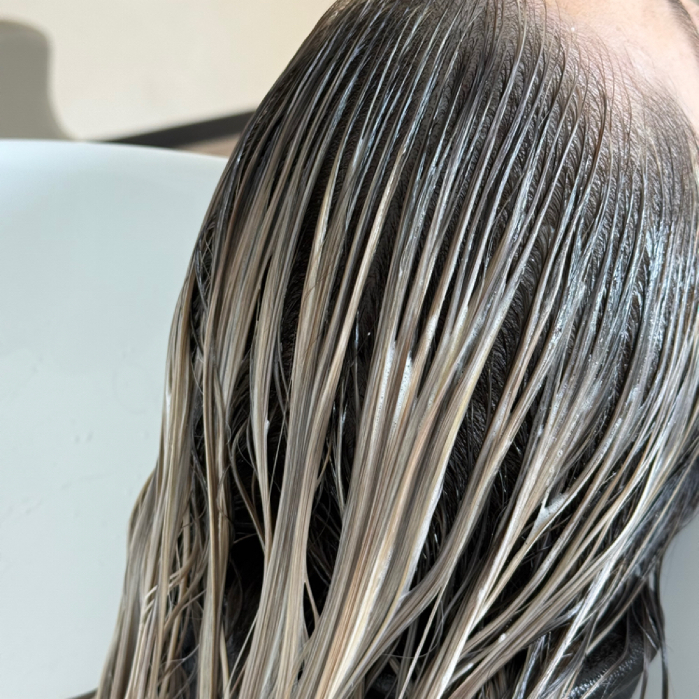 Gloss at Ashlyn Lea in Montgomery, TX