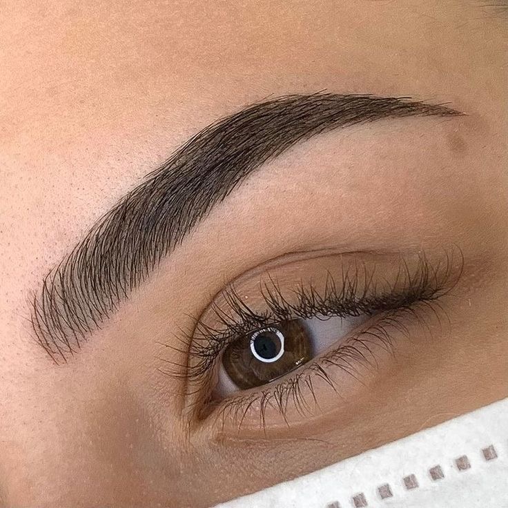 COMBO BROWS (HAIRSTROKES & SHADING)