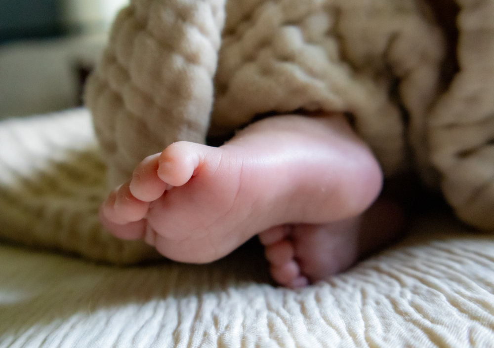 Newborn Mini