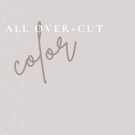 All Over Color & Haircut