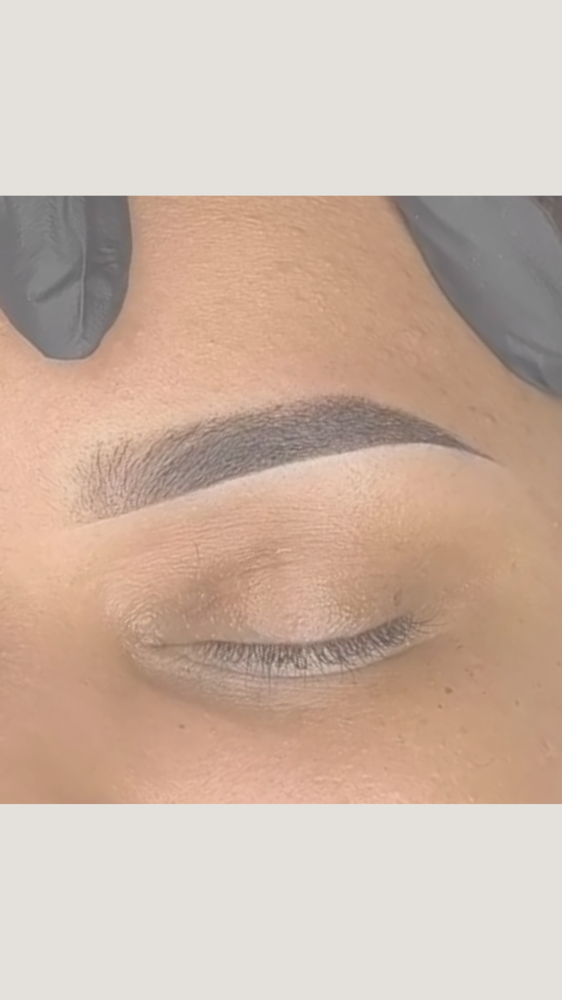 Microshaded Brows