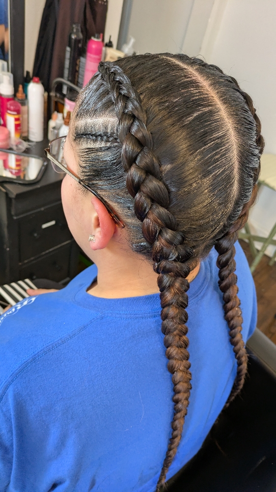 2 Braids / Half Crown Braids