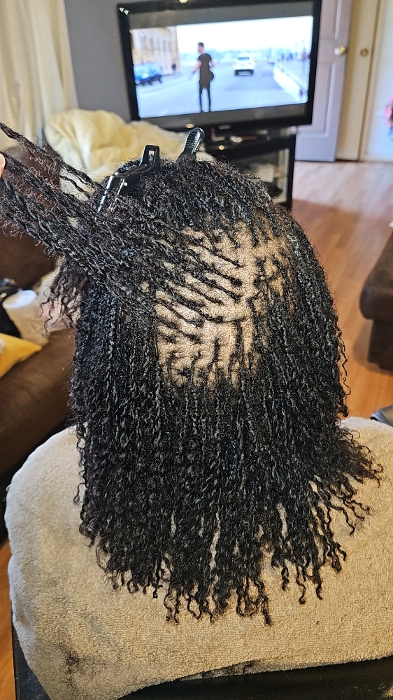 Microloc Retwist/Retie at Tender Luv'n cHair in Cowarts, AL