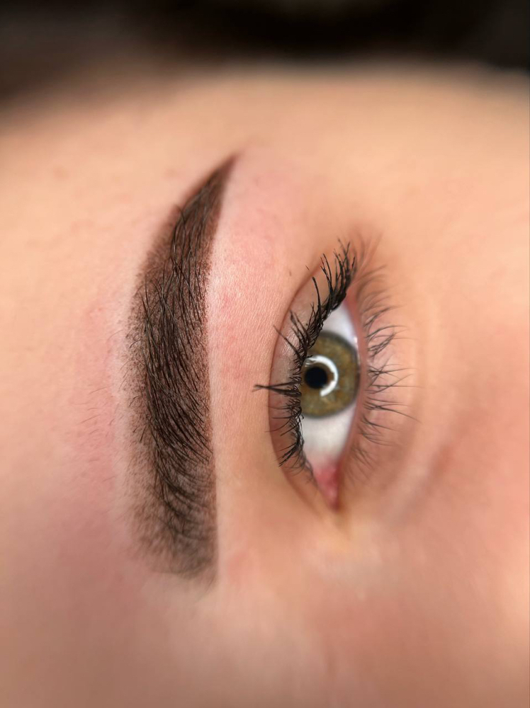 Powder Ombre Brows