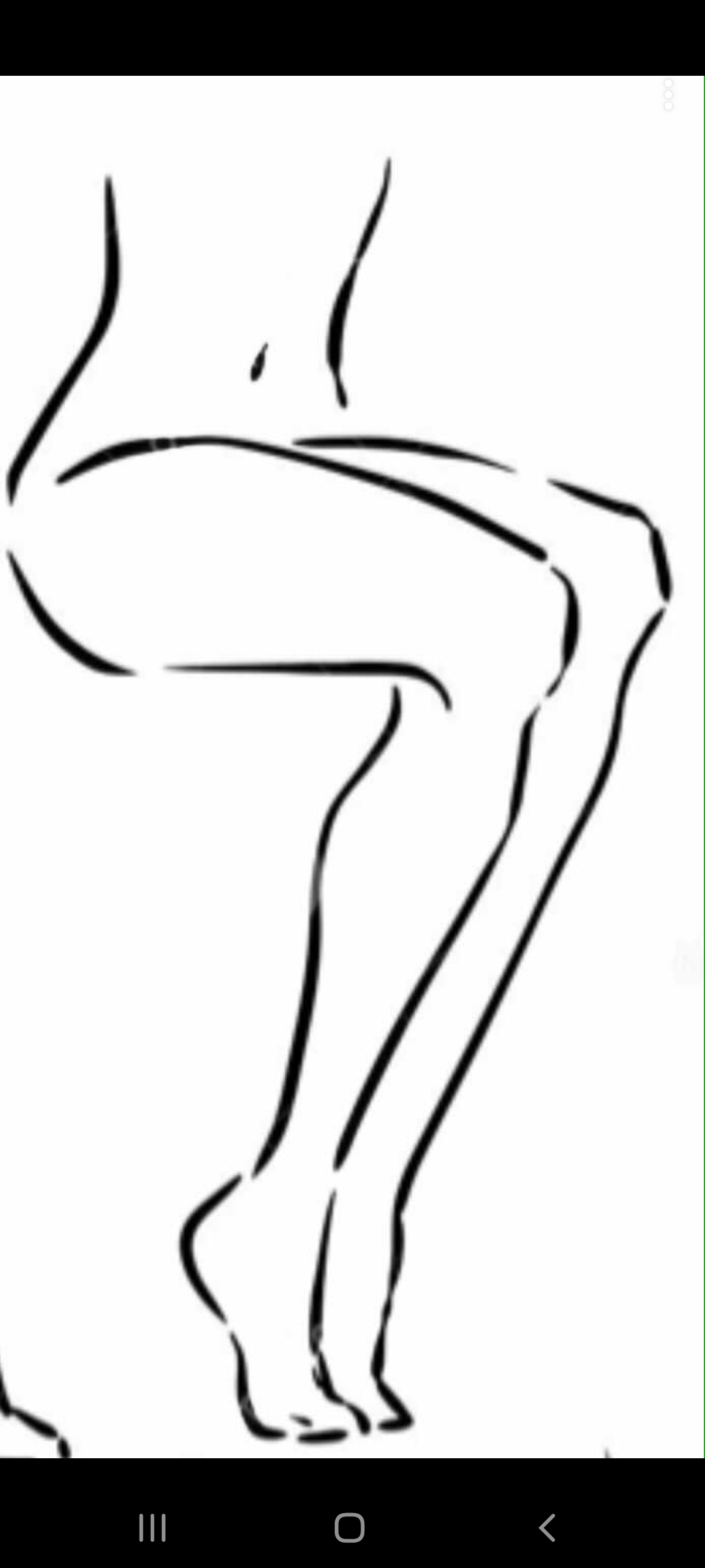 Lower Leg