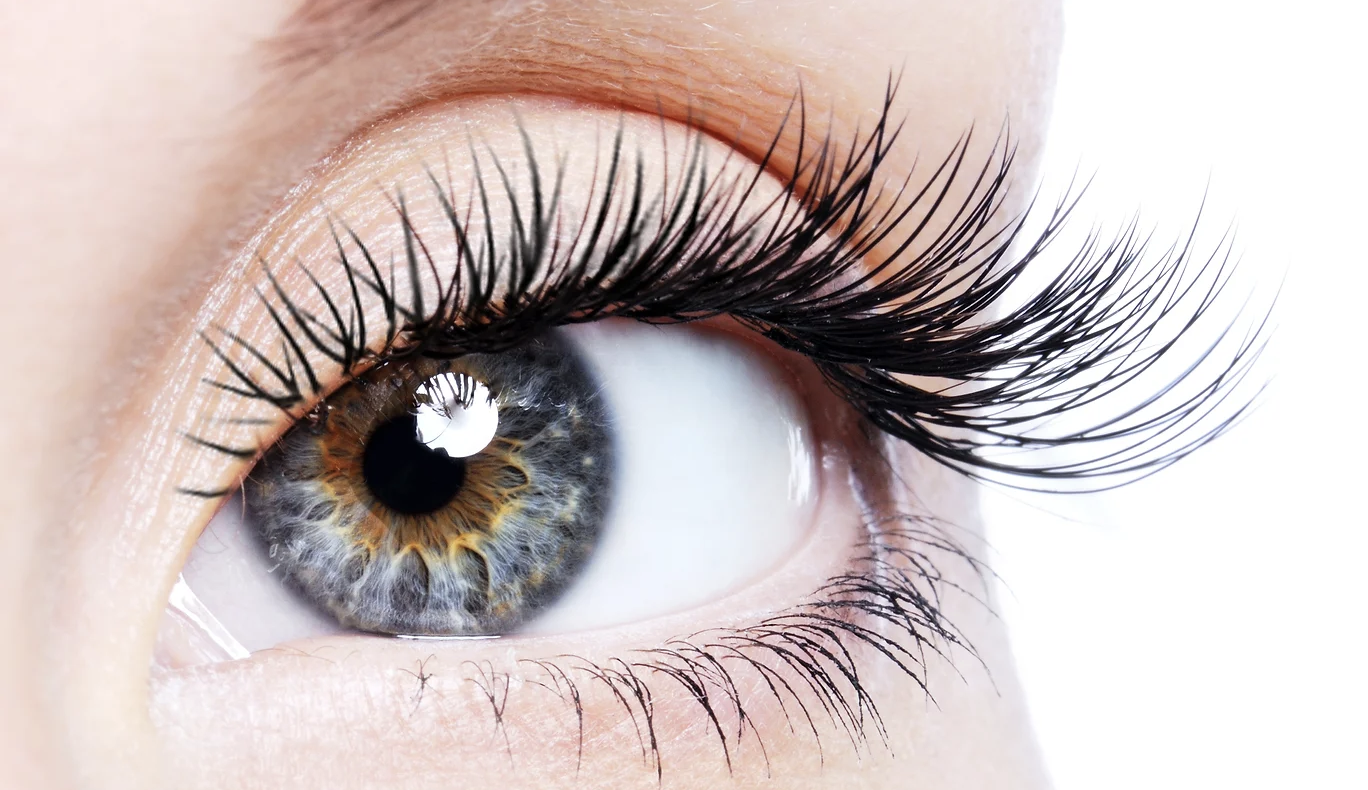 Eyelash Tinting
