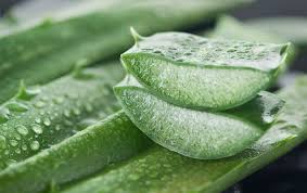 Hydrating Aloe Treatment