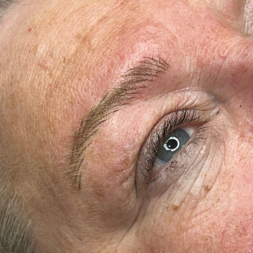 Nano Brows at EnvyMeBeauty in Brazil, IN