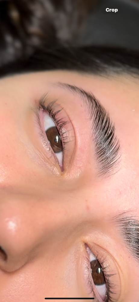 Lashlift With Tint