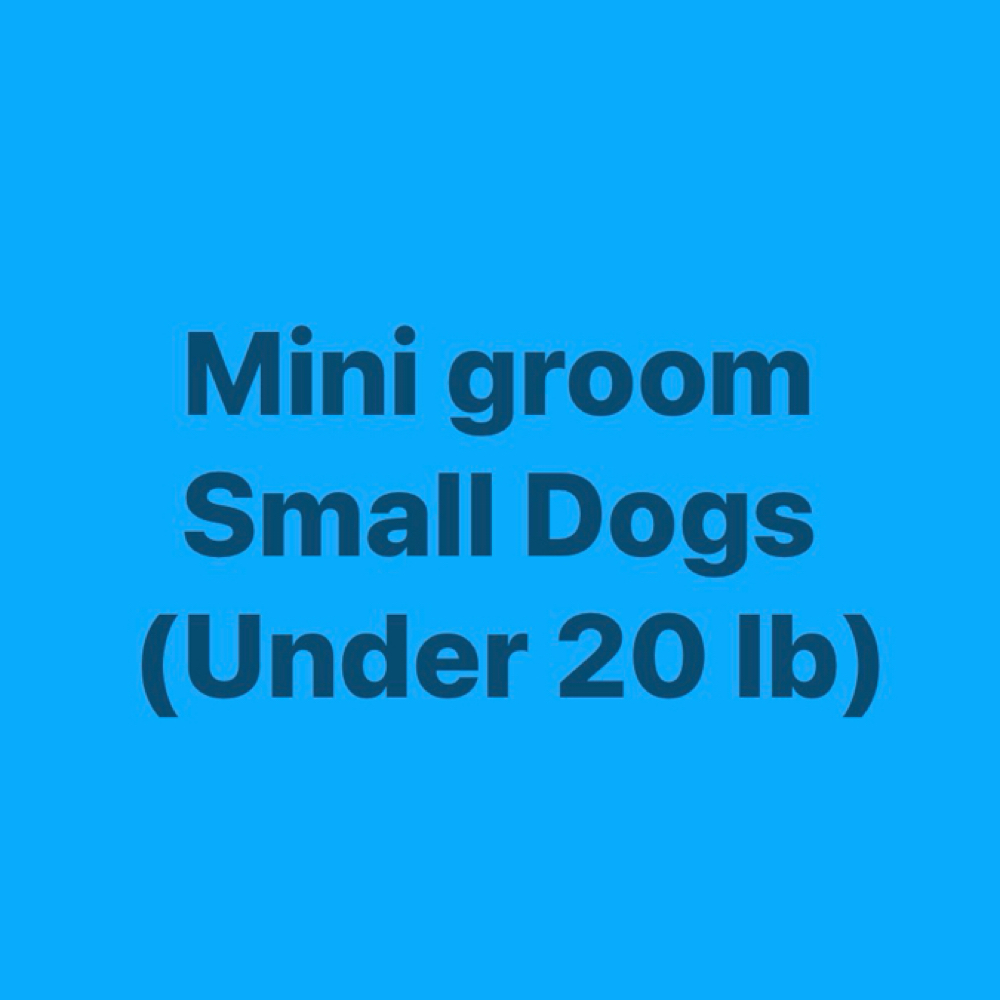 Mini Groom-small (under 20 Lbs) at Polished Pup in Larose, LA