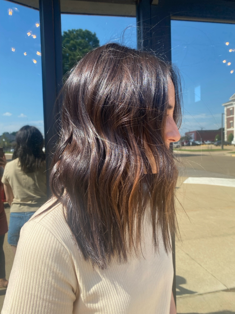 Root Touch Up