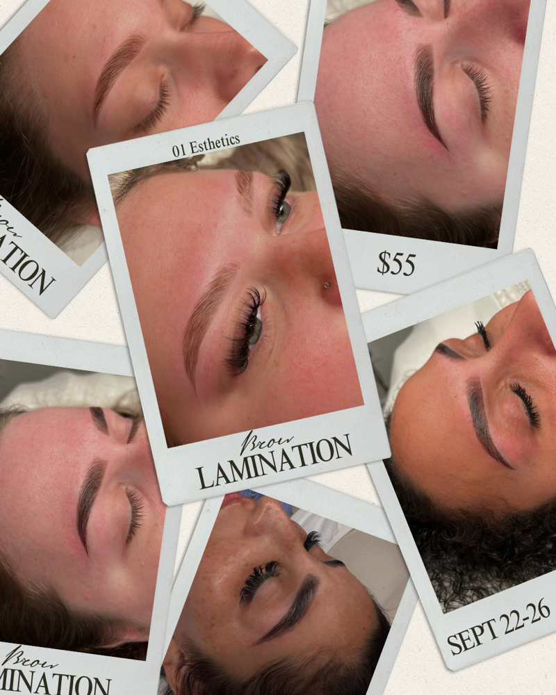 $55 Brow Lami Sept 22nd-26th
