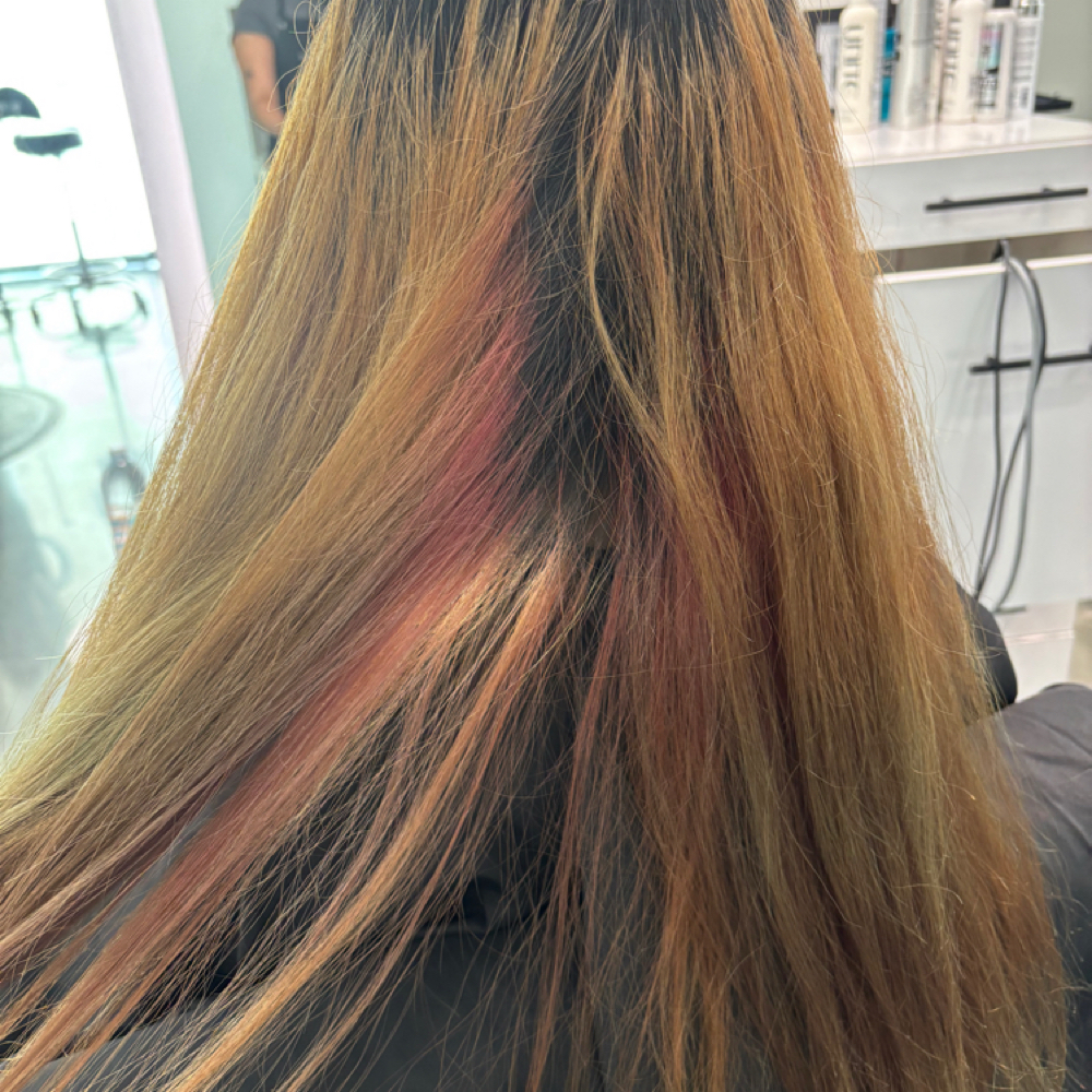 Color Correction at ShabbyCuts222 in Campbell, CA