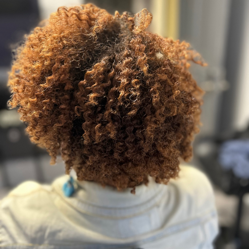 Flat Twist Out at Crowned Radiance LLC in Douglasville, GA