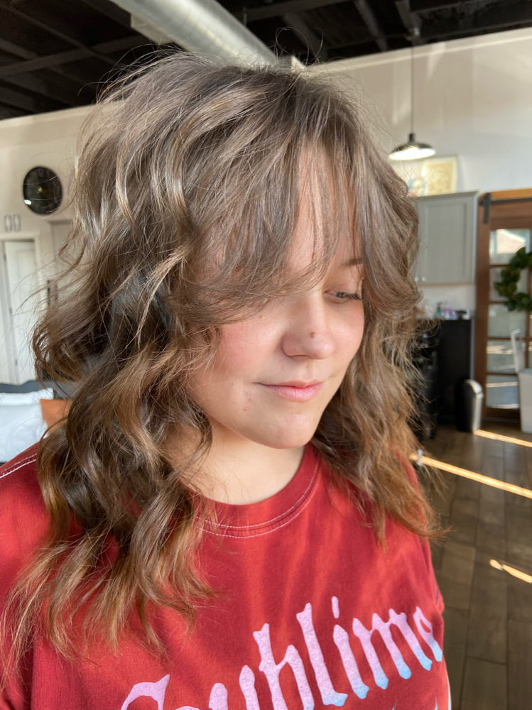 Dry Cut & Style