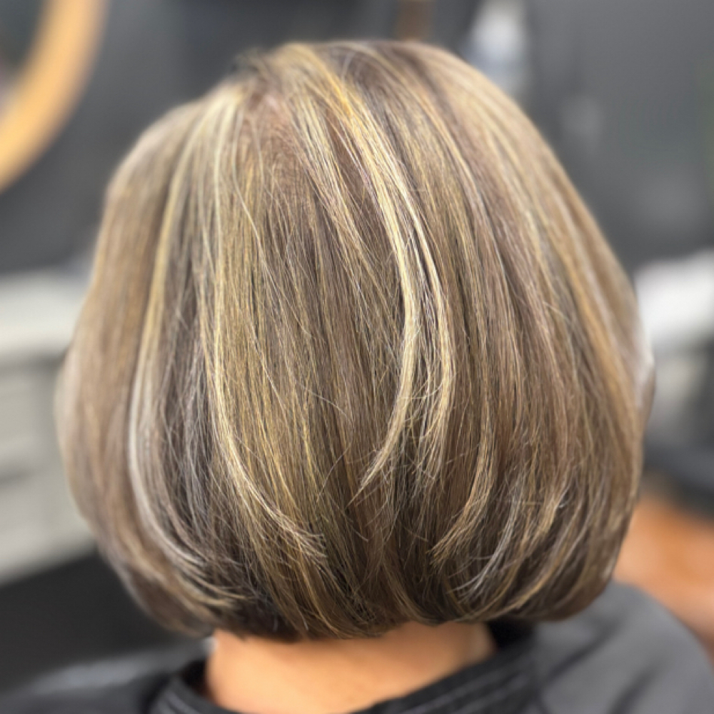 Partial Highlight Haircut And Style at Salon Anaj and Botanicals in Webster, TX
