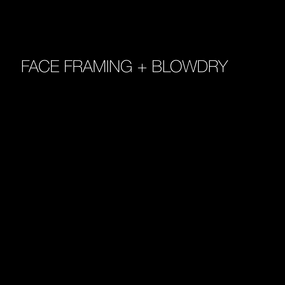 Face Framing + Blowdry