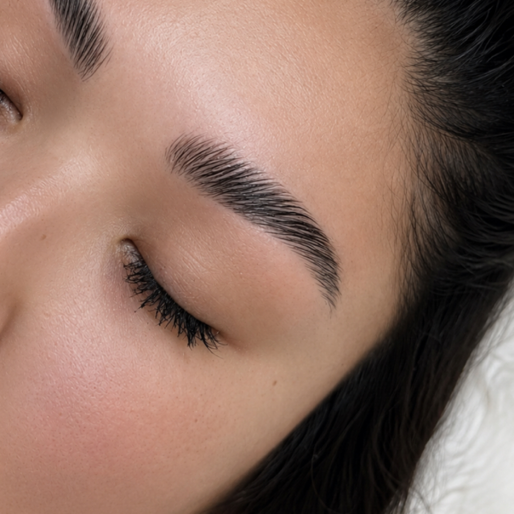 Brow Lamination + Tint (no Wax) at Rose Gold Lash in Centerline, MI