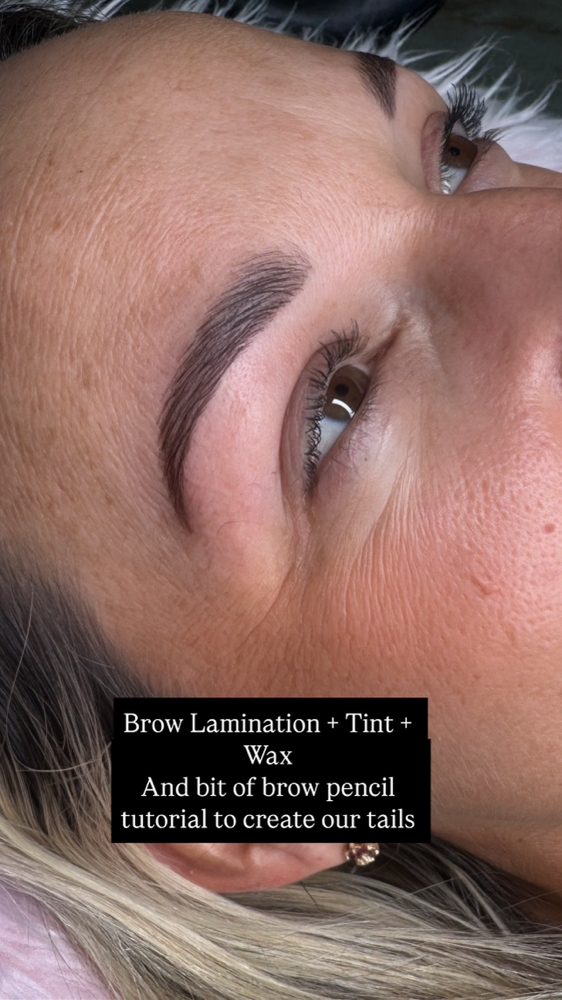 Brow Waxing/ Treatments