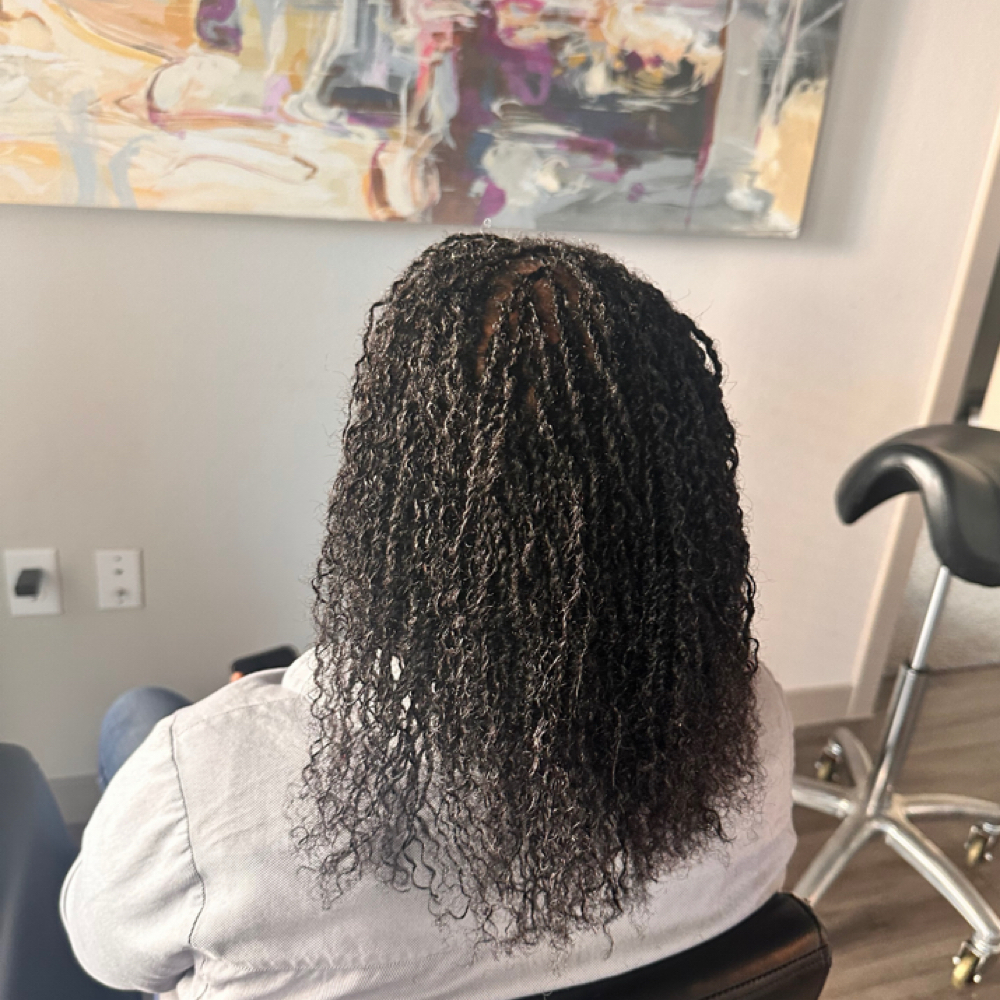 Micro Braids Installation at TEL Hair Braiding & Beauty Supply in Garland, TX
