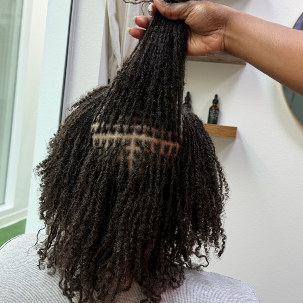 Microlocs Retighten at Loc'd by Courtney Nicole in Missouri City, TX