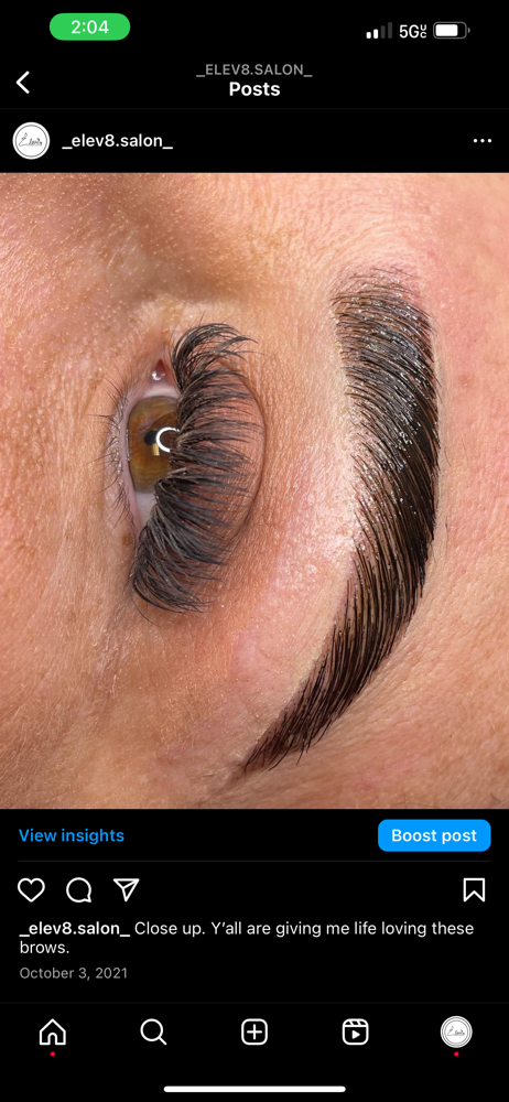Brows